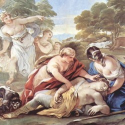 The Death of Adonis